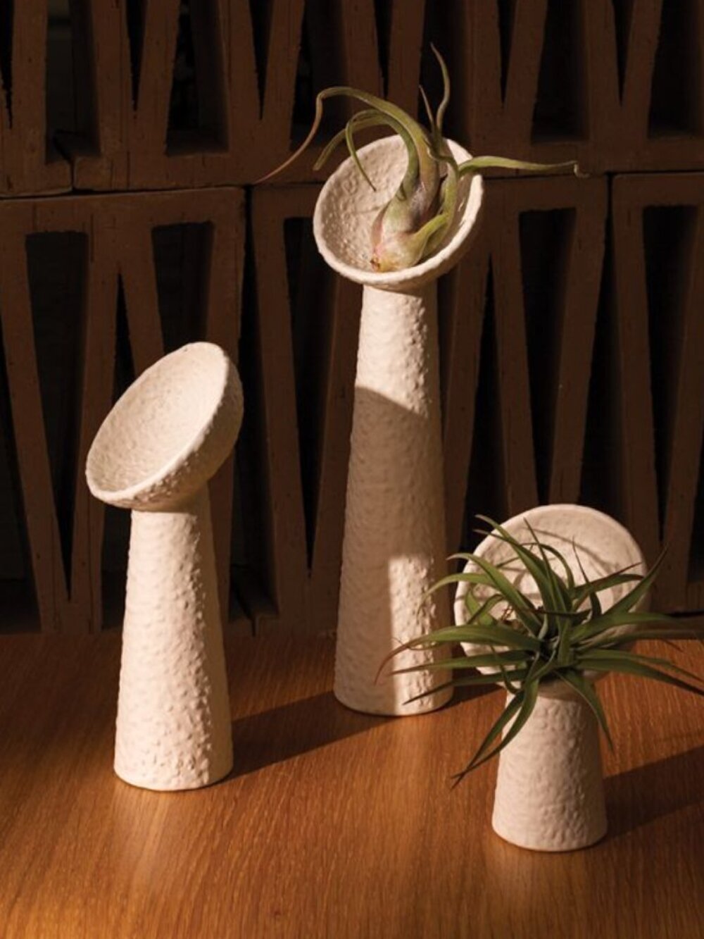 Iggy Tillandsia Air Plant Holders Set of 3 Ceramic Pedestal Planters Sculpture